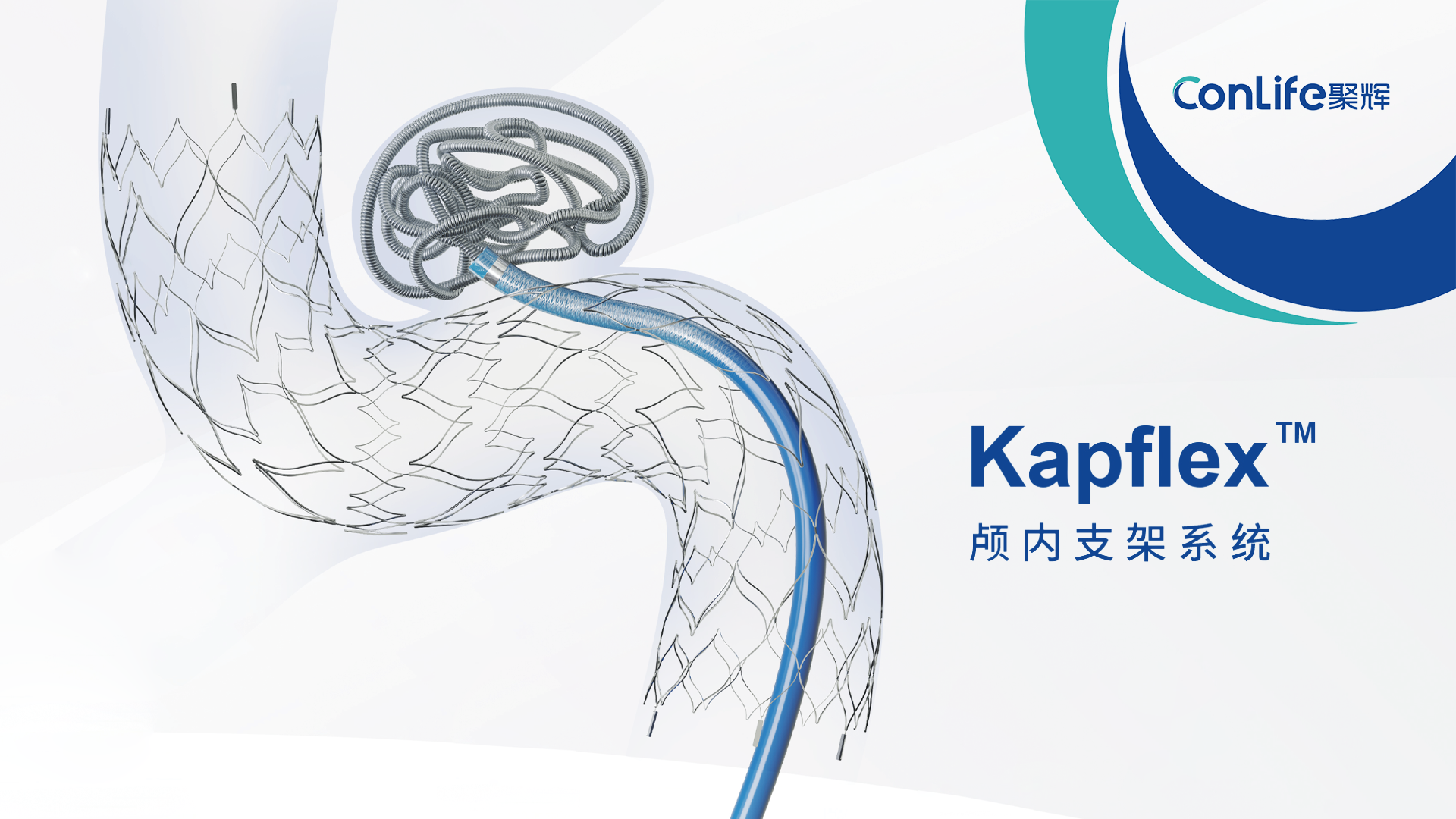 全国首例！宣武医院张鸿祺教授团队完成Kapflex™颅内支架系统临床实验首例入组
